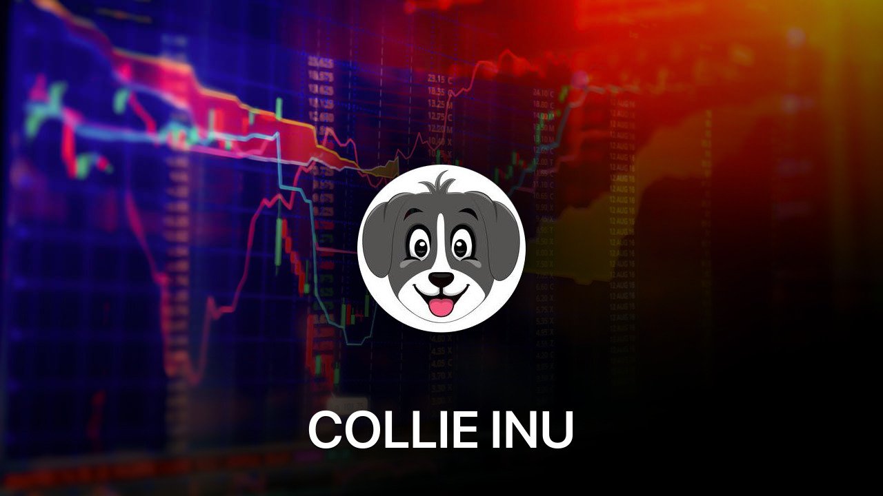 Where to buy COLLIE INU coin