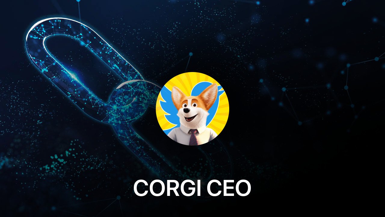 Where to buy CORGI CEO coin