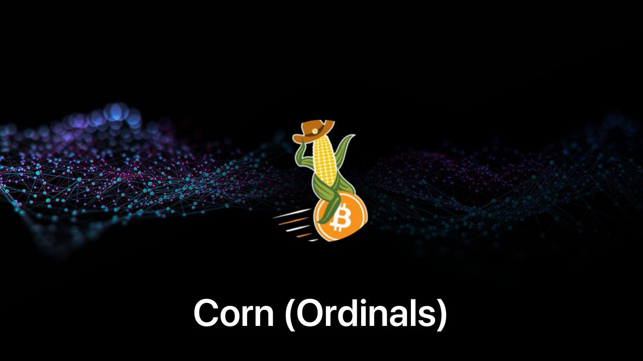 Where to buy Corn (Ordinals) coin