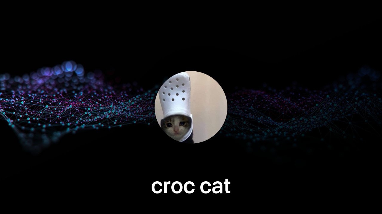 Where to buy croc cat coin