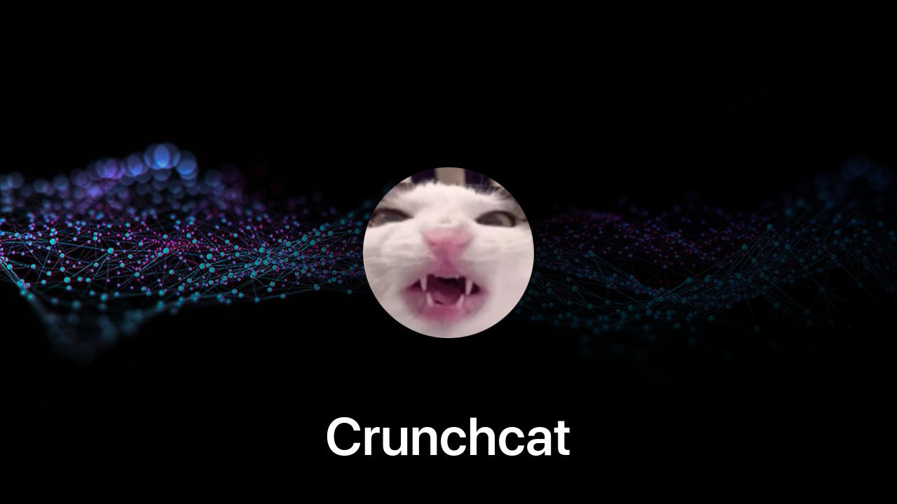 Where to buy Crunchcat coin