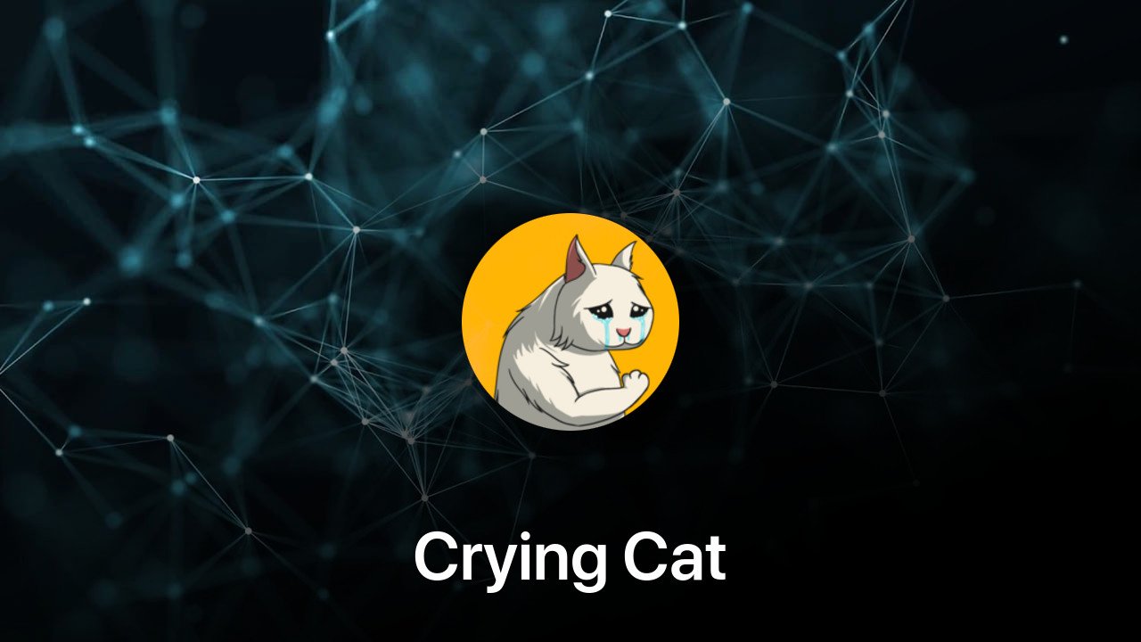 Where to buy Crying Cat coin