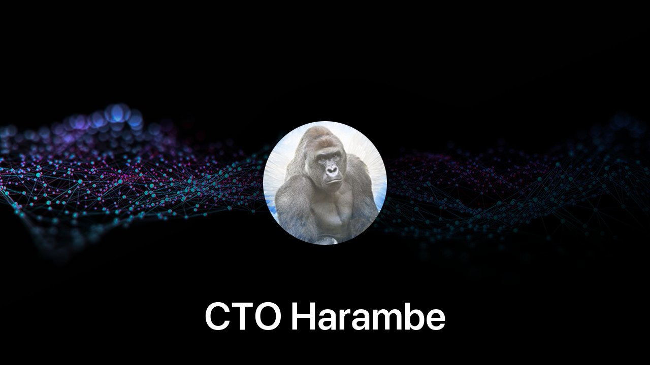 Where to buy CTO Harambe coin