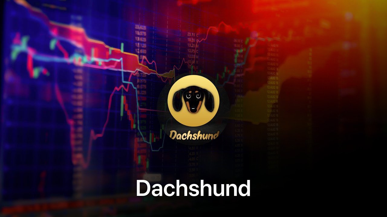 Where to buy Dachshund coin
