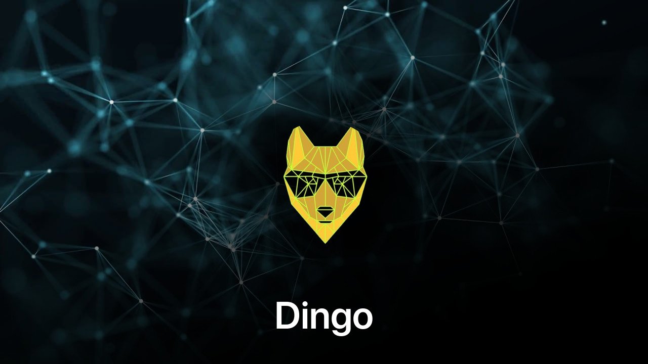 Where to buy Dingo coin