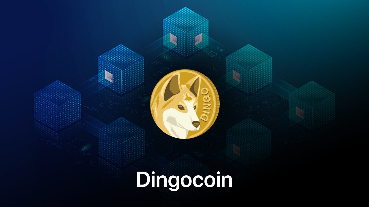 Where to buy Dingocoin coin