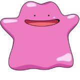 Where Buy Ditto