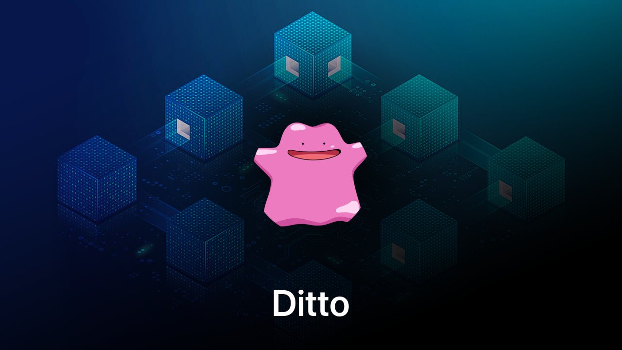 Where to buy Ditto coin