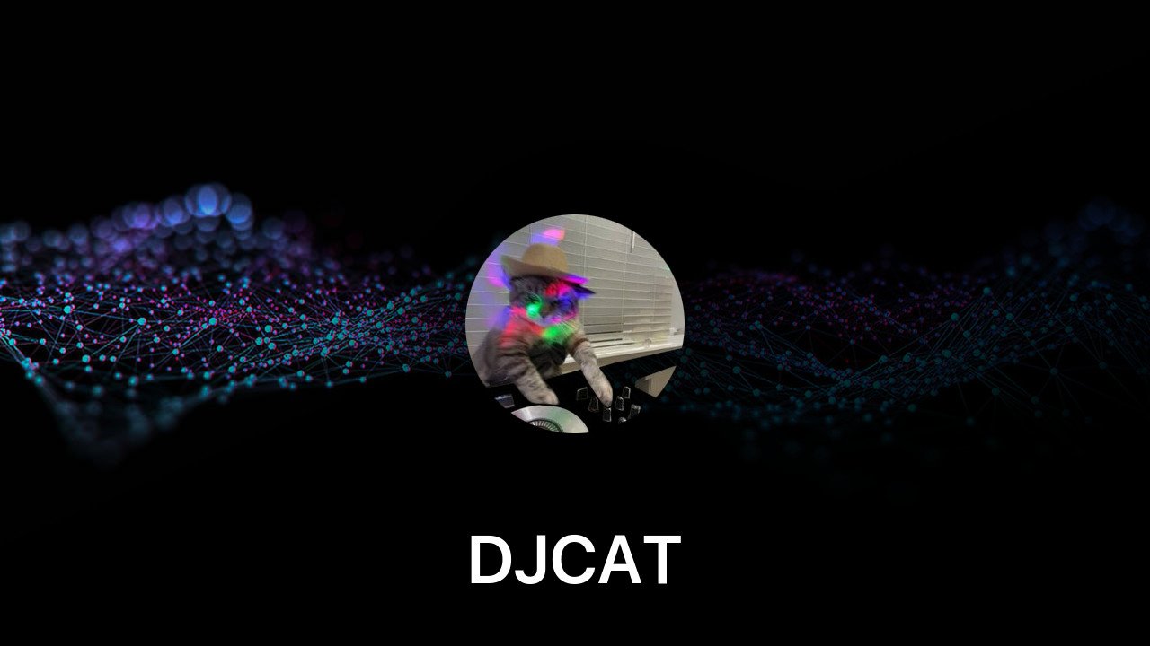 Where to buy DJCAT coin