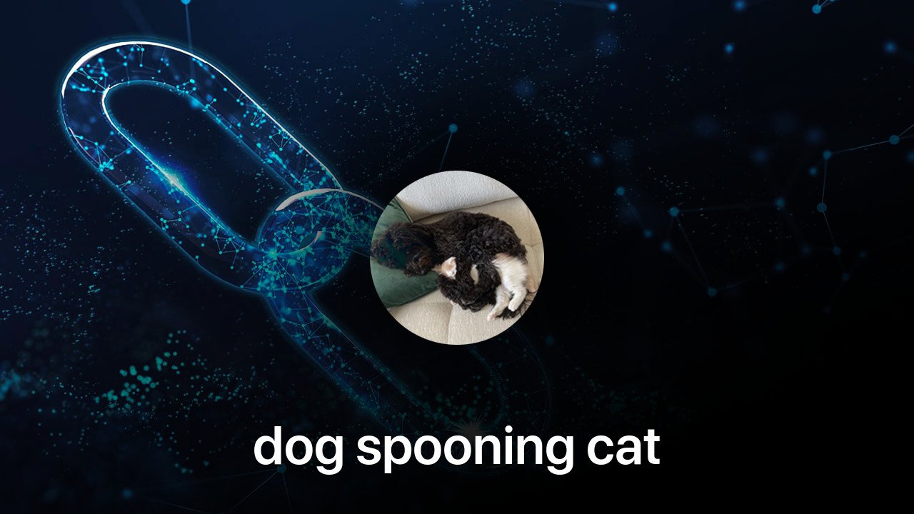 Where to buy dog spooning cat coin