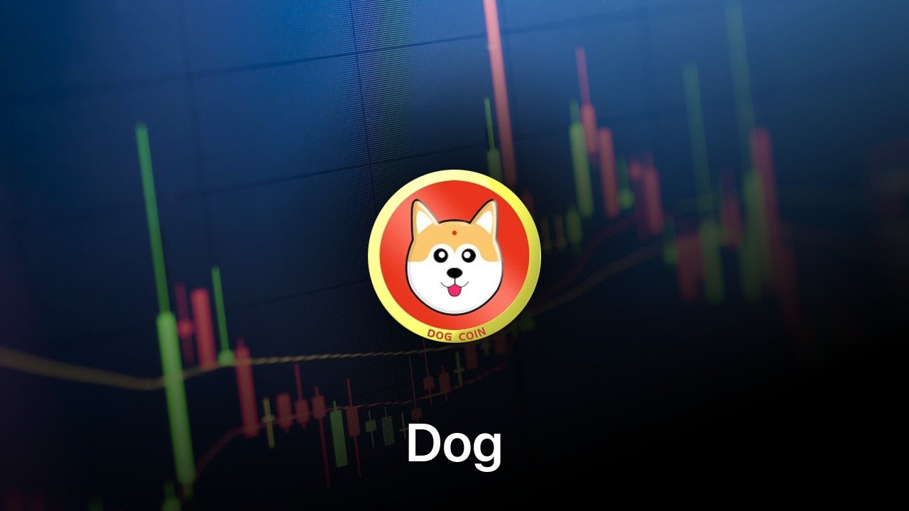 Where to buy Dog coin