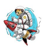 Where Buy Doge-1 Mission to the moon