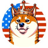 Where Buy Doge for President