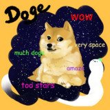 Where Buy doge in a memes world