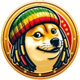 Where Buy Doge Marley