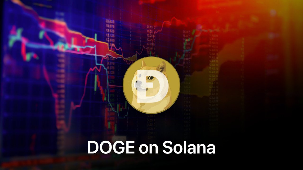 Where to buy DOGE on Solana coin