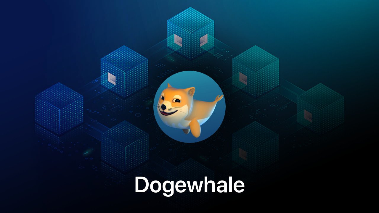 Where to buy Dogewhale coin