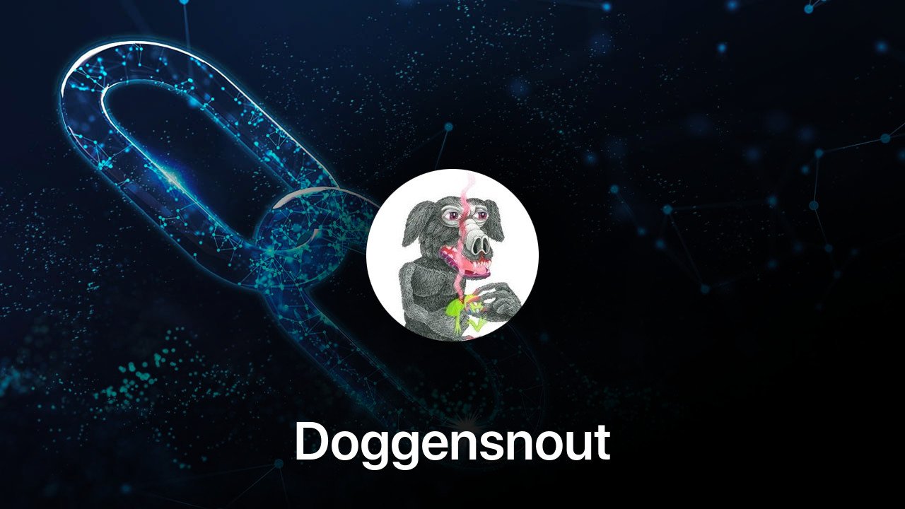 Where to buy Doggensnout coin