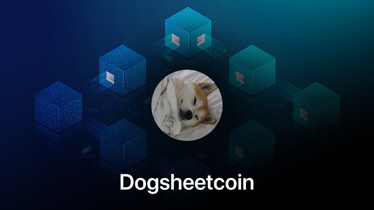 Where to buy Dogsheetcoin coin