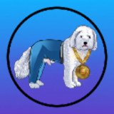 Where Buy dogwifpants