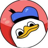 Where Buy Dolan Duck