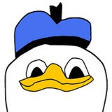 Where Buy Dolan Duk