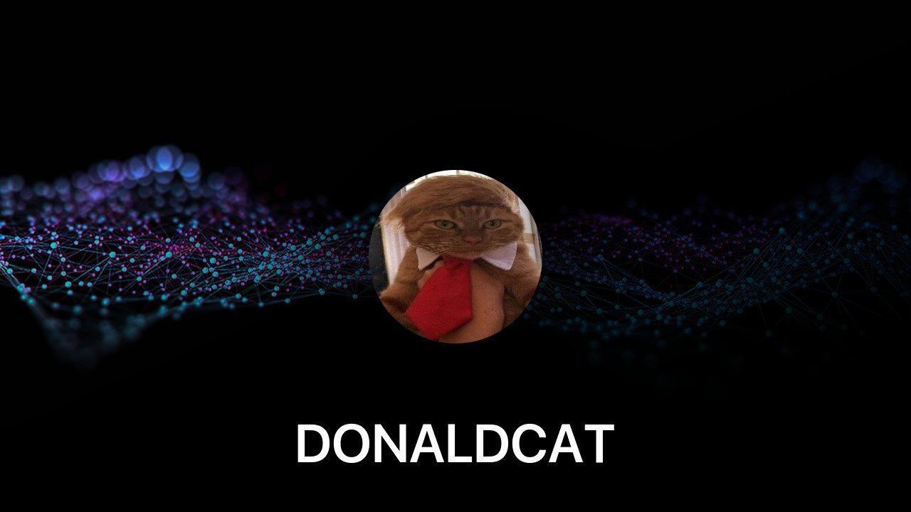 Where to buy DONALDCAT coin