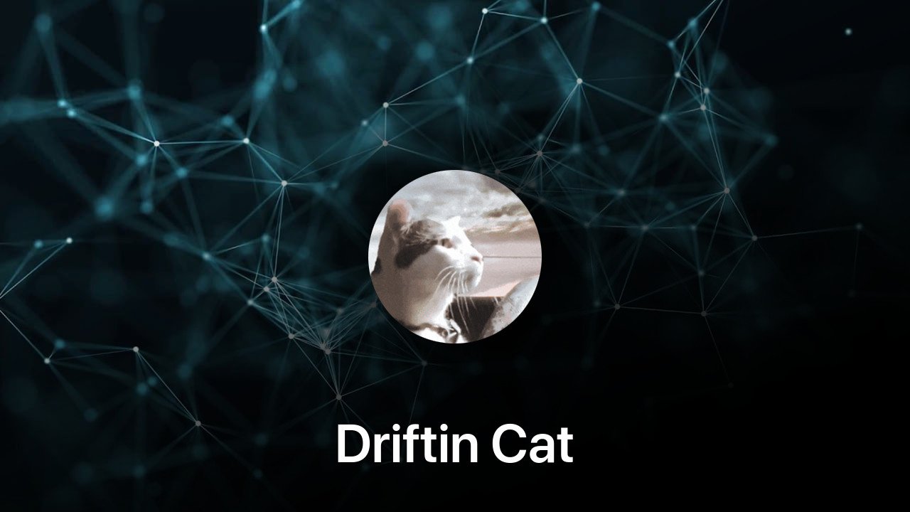 Where to buy Driftin Cat coin