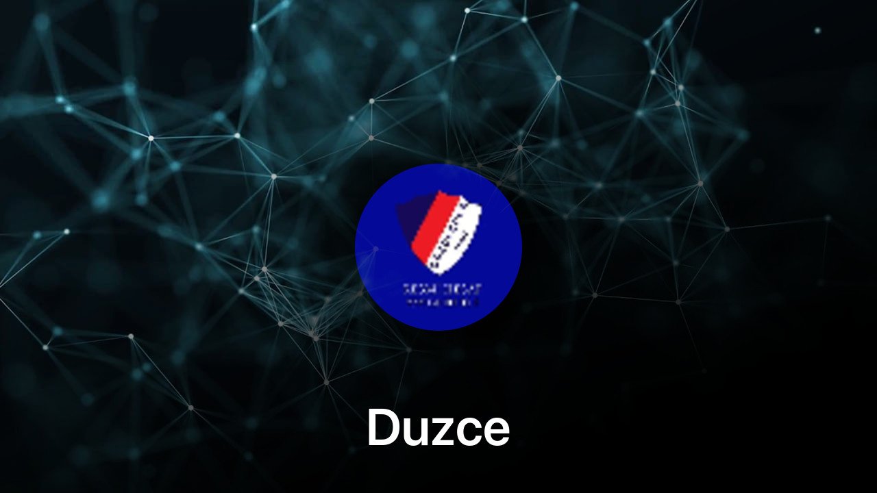 Where to buy Duzce coin