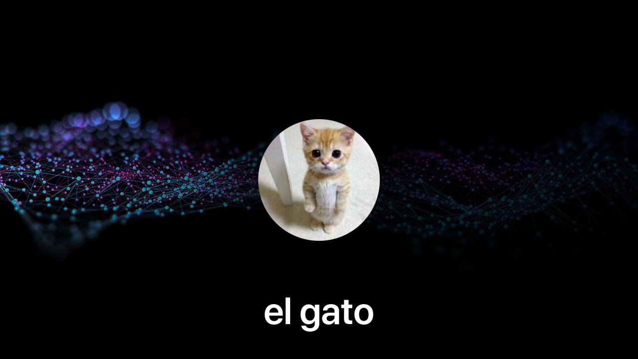 Where to buy el gato coin