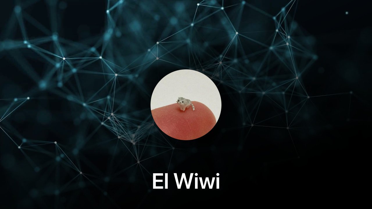 Where to buy El Wiwi coin