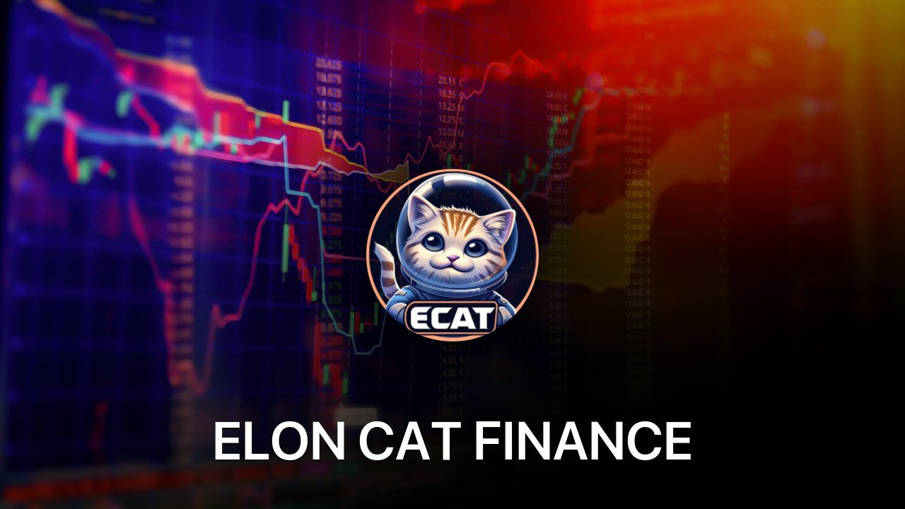 Where to buy ELON CAT FINANCE coin