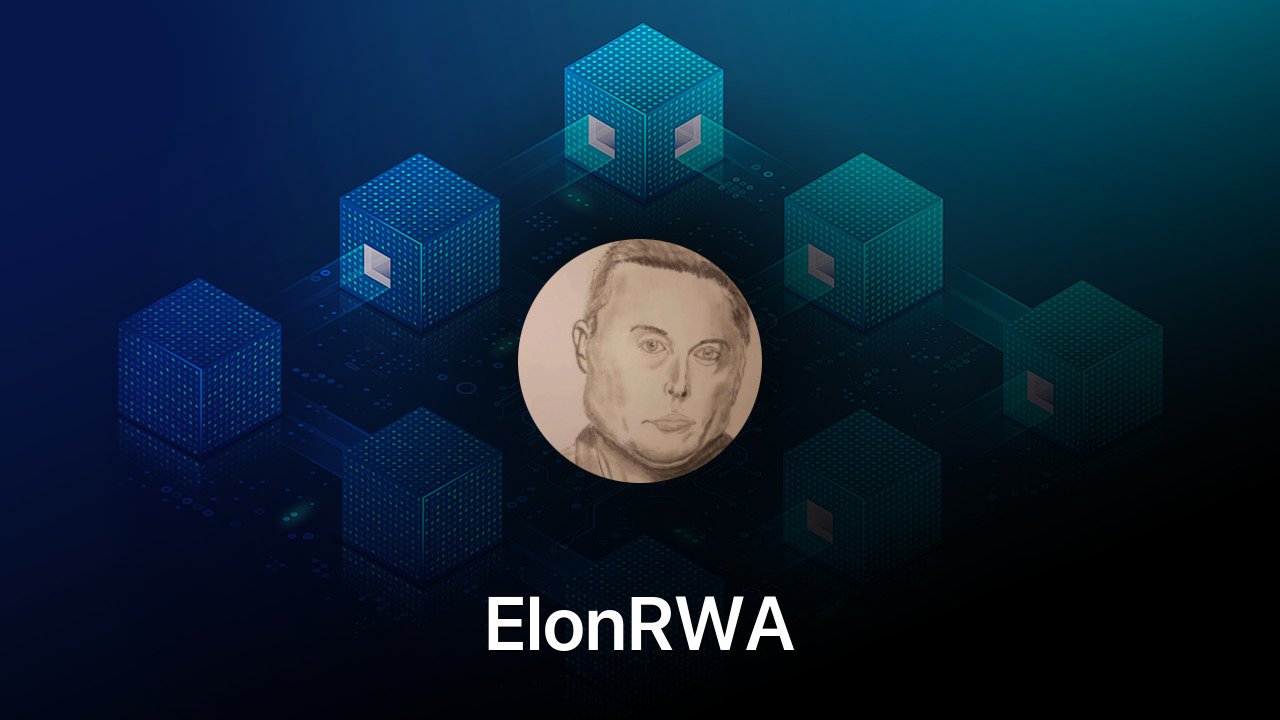 Where to buy ElonRWA coin