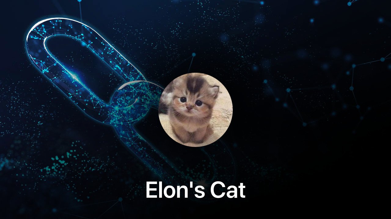 Where to buy Elon's Cat coin