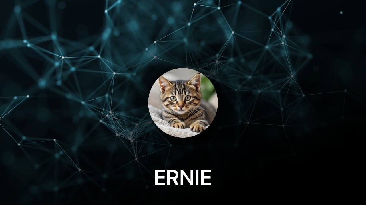 Where to buy ERNIE coin