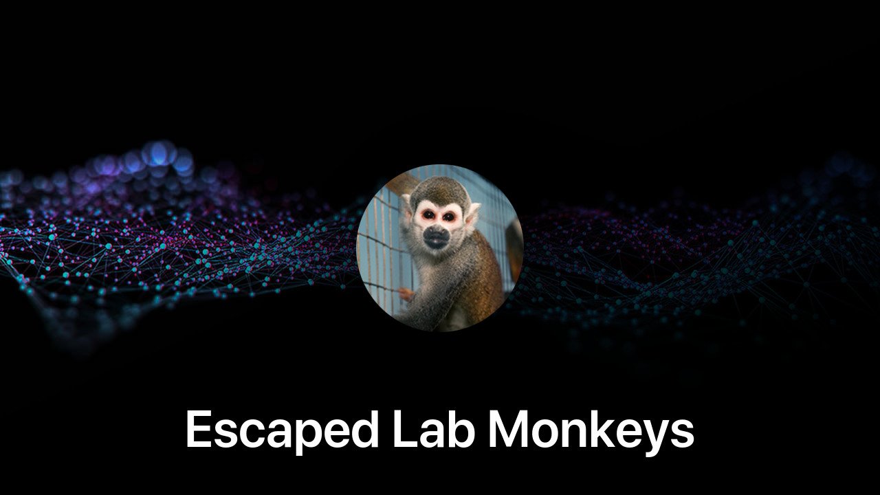 Where to buy Escaped Lab Monkeys coin