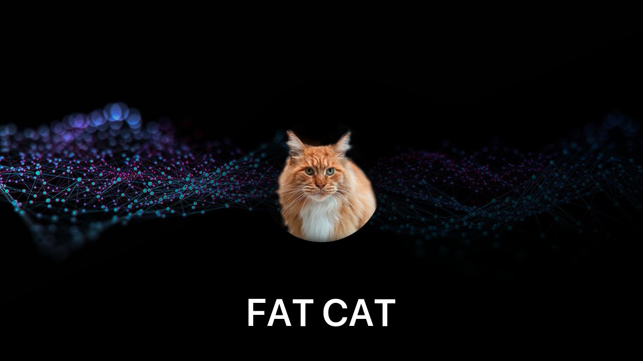 Where to buy FAT CAT coin