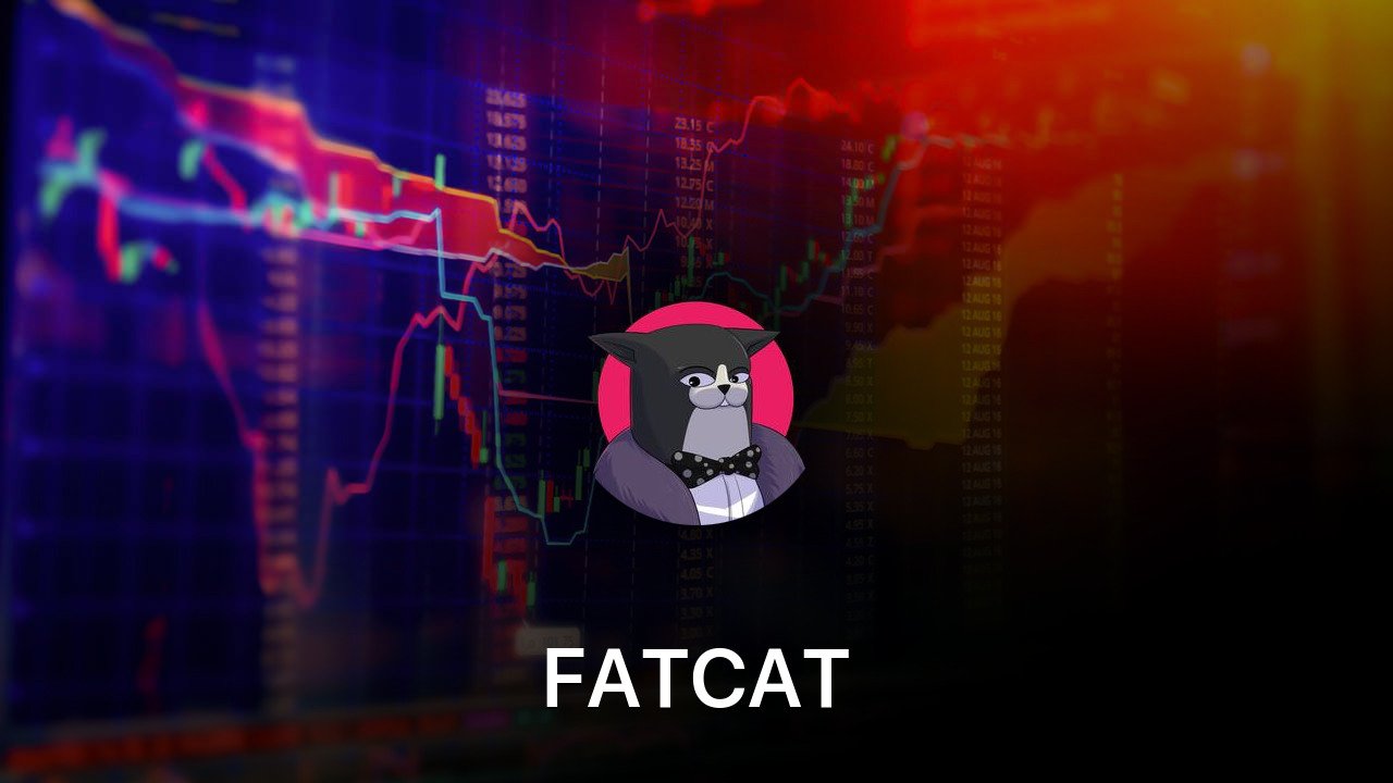 Where to buy FATCAT coin