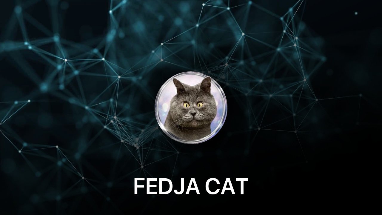 Where to buy FEDJA CAT coin