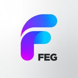 Where Buy FEG BSC