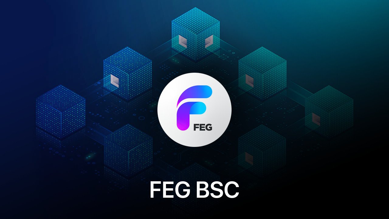 Where to buy FEG BSC coin