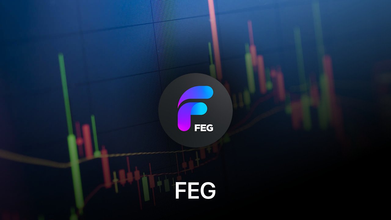 Where to buy FEG coin