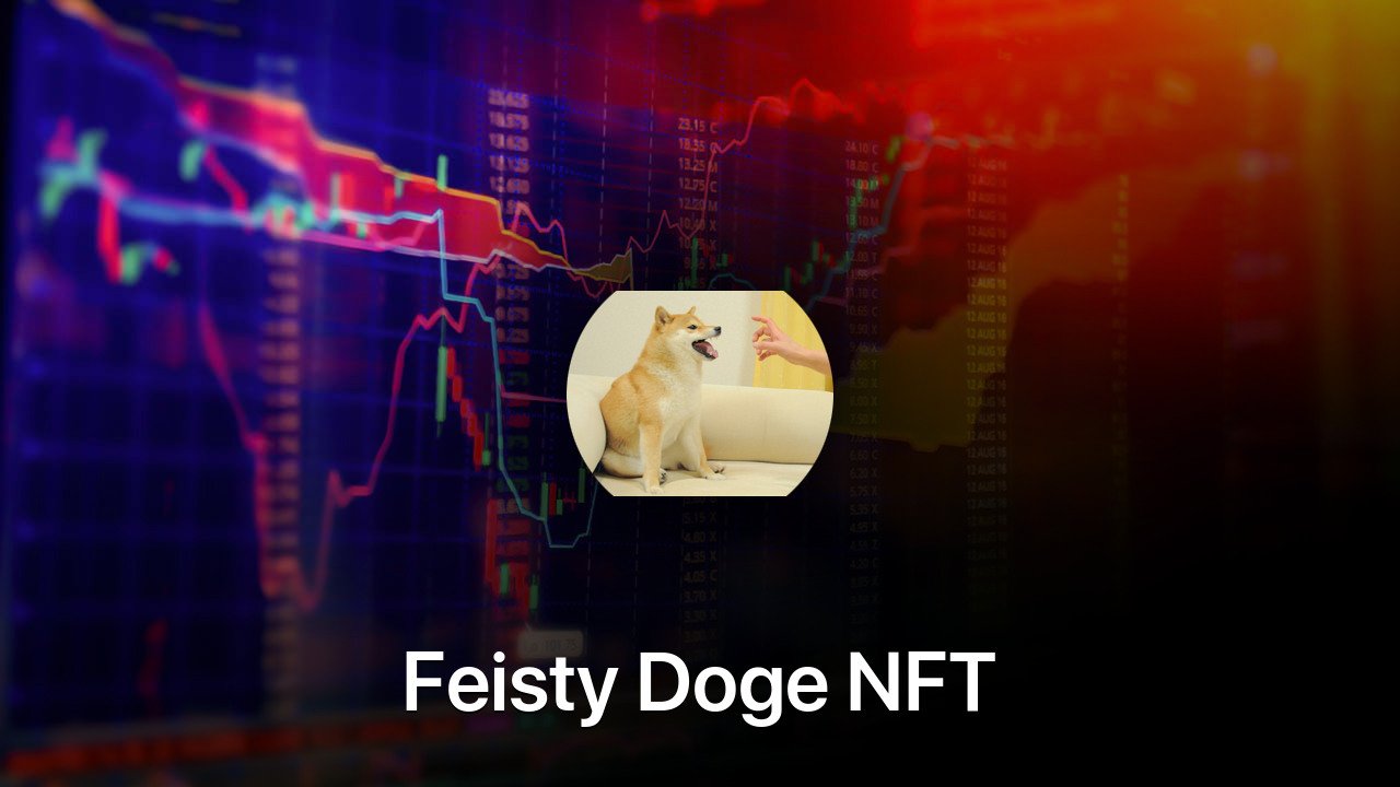 Where to buy Feisty Doge NFT coin
