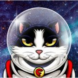 Where Buy Felicette the Space Cat