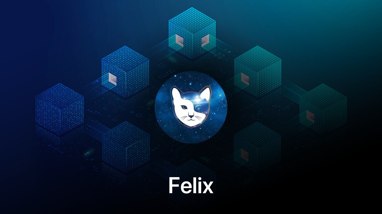 Where to buy Felix coin