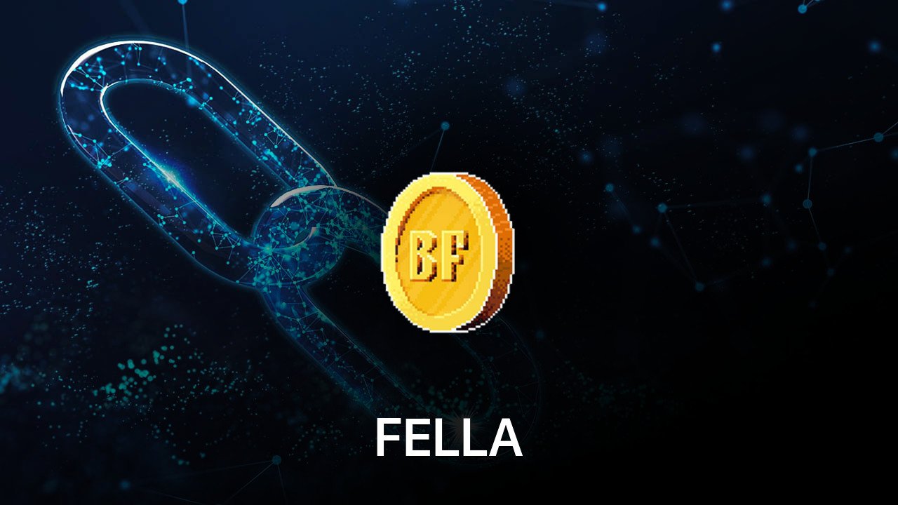 Where to buy FELLA coin