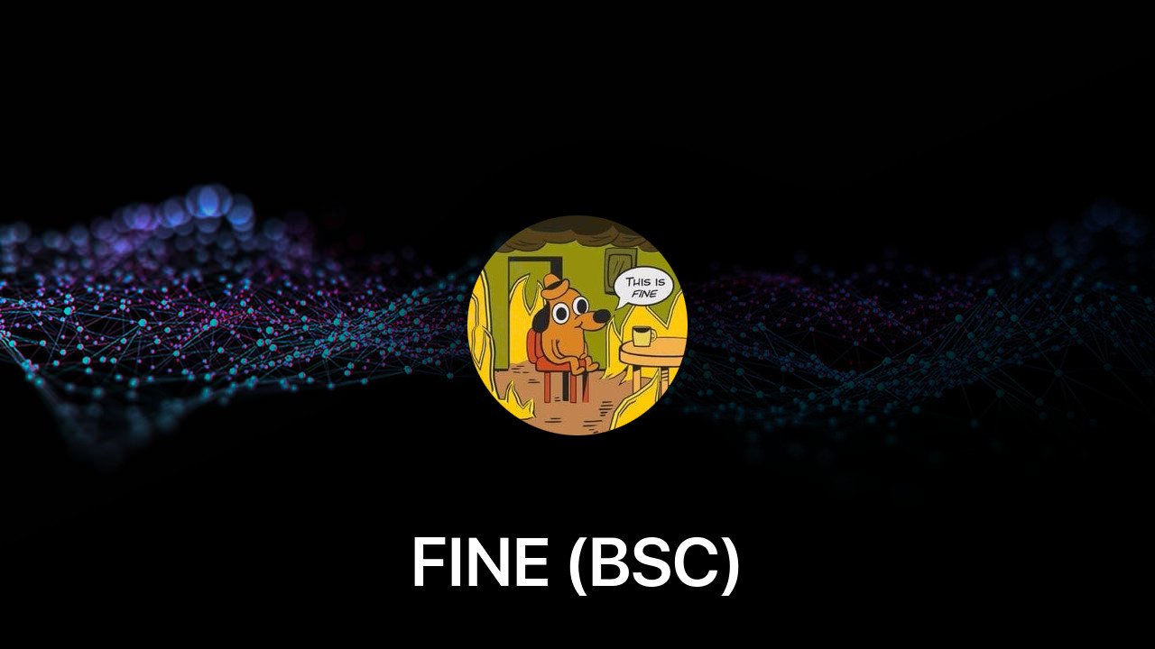 Where to buy FINE (BSC) coin