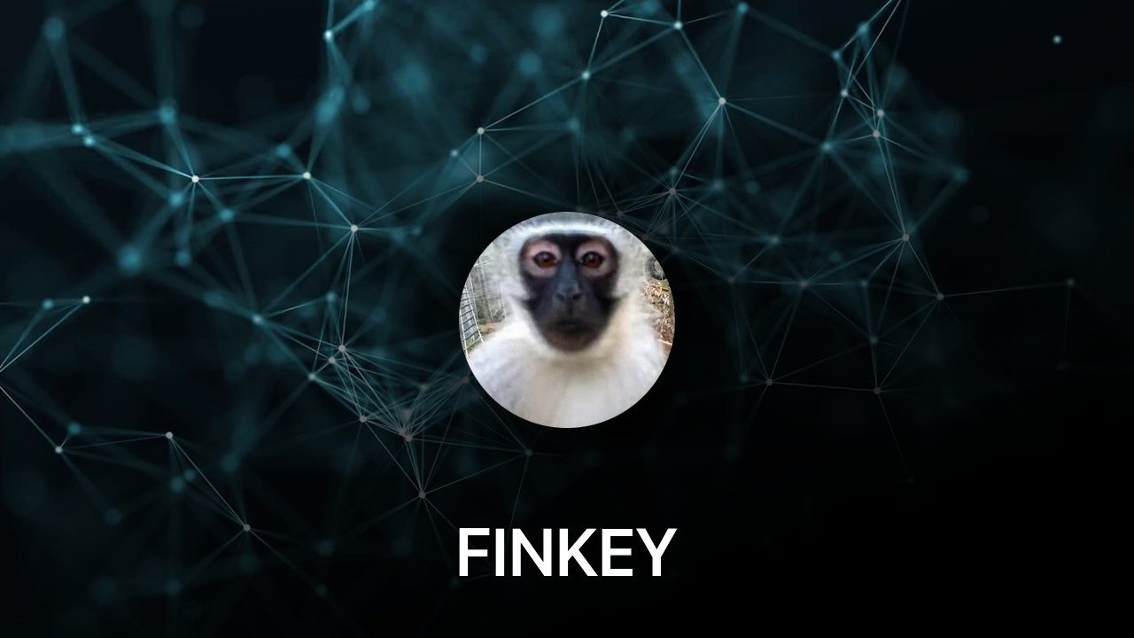 Where to buy FINKEY coin