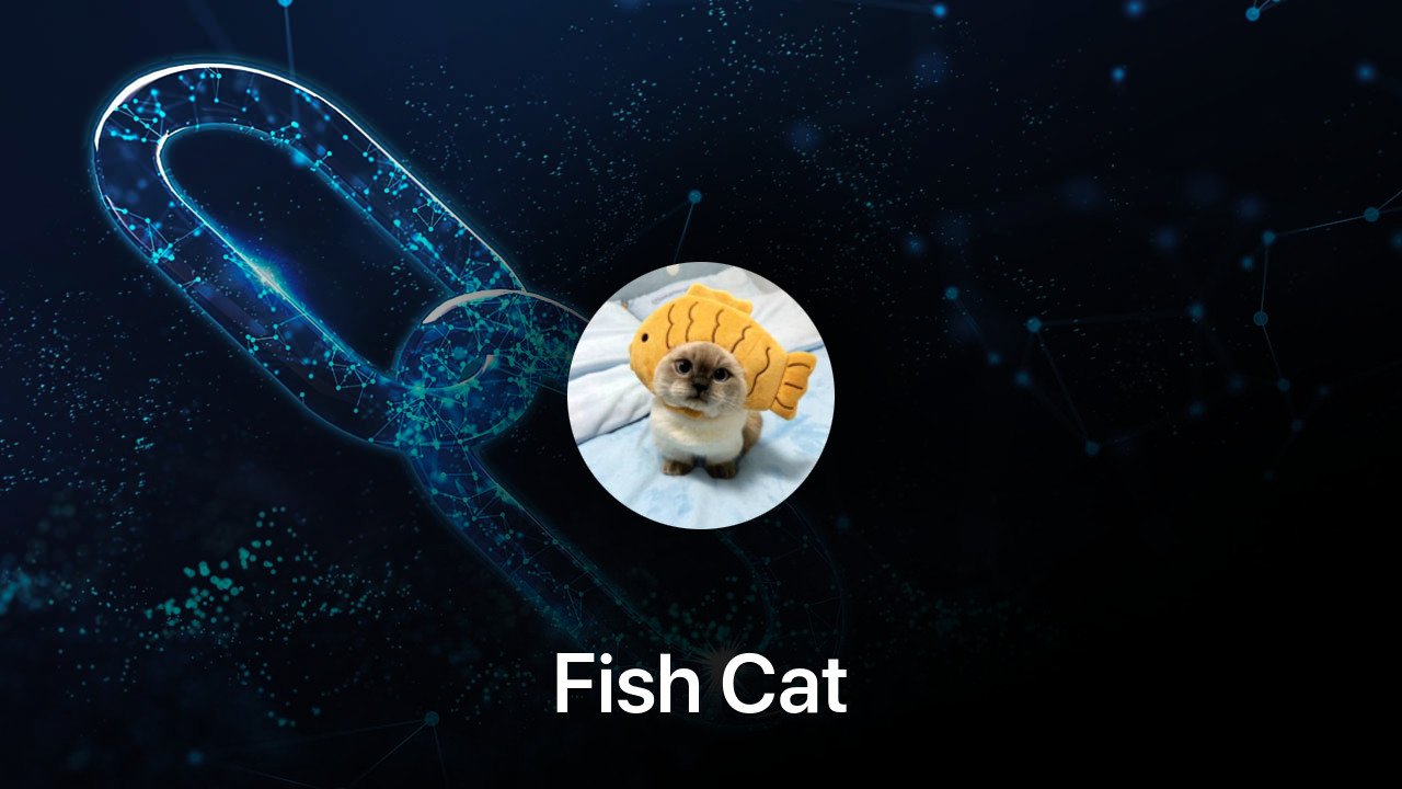 Where to buy Fish Cat coin