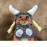 Where Buy Floki Cat